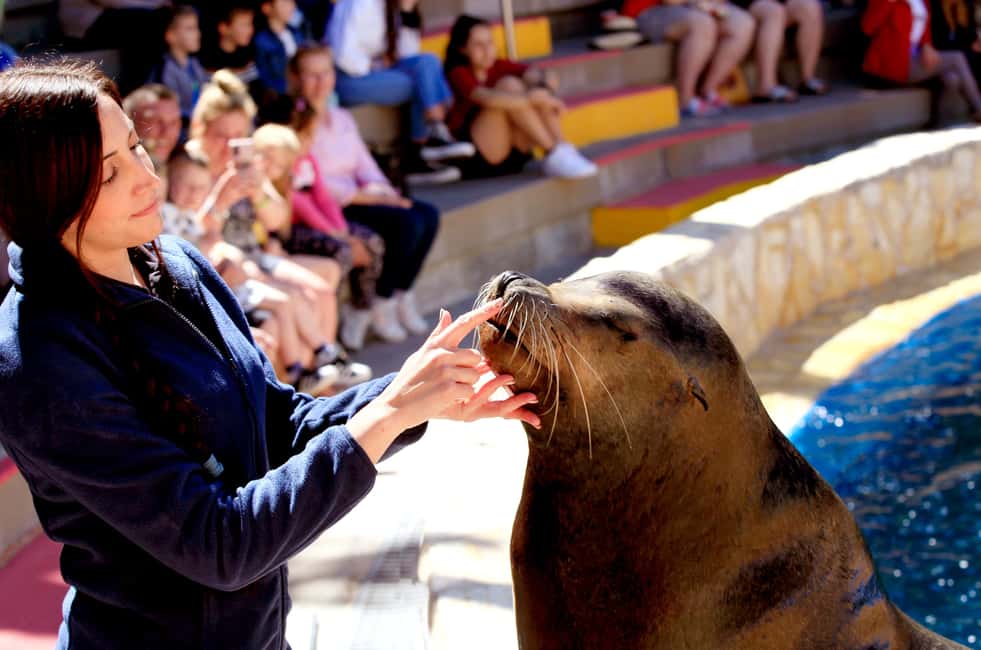 imagen n.º 19 de Benidorm: Ticket de entrada al Parque de Animales Mundomar actividad en Benidorm, subida por el proveedor