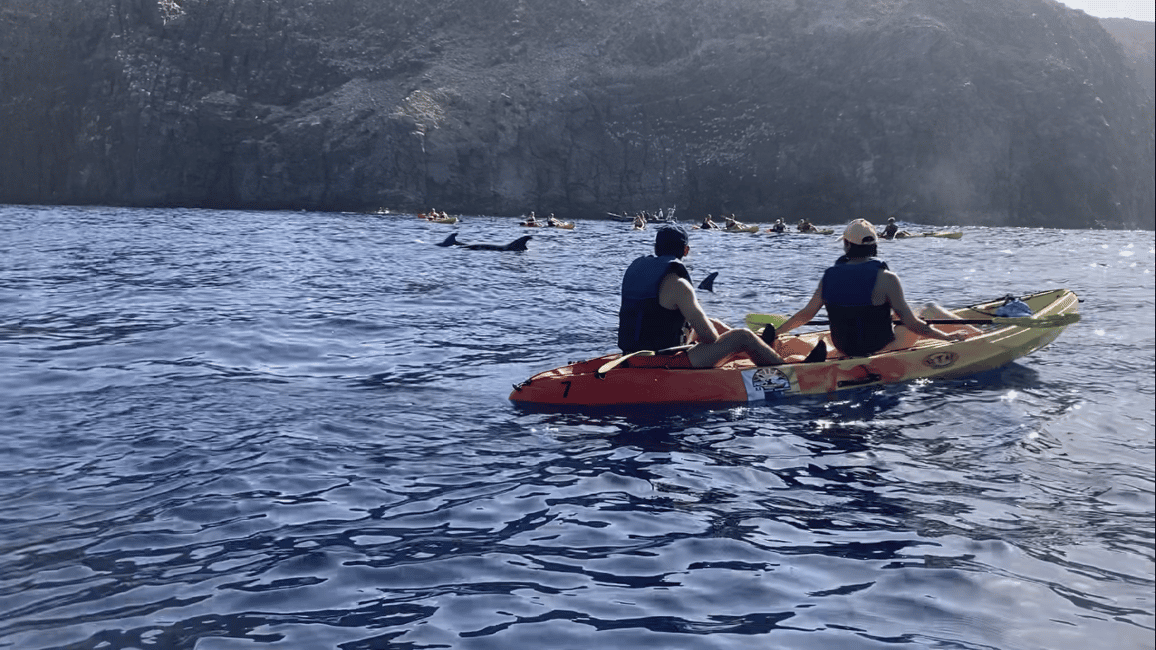 image n.11 of Los Cristianos: Kayak & Snorkel Tour with turtles and photos included activity in Arona, Tenerife, uploaded by supplier