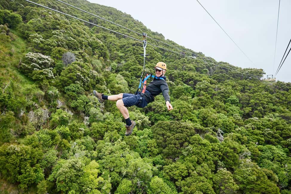 image n.6 of Kaikōura: Zipline and Native Forest Adventure Trip activity in Kaikoura, uploaded by supplier