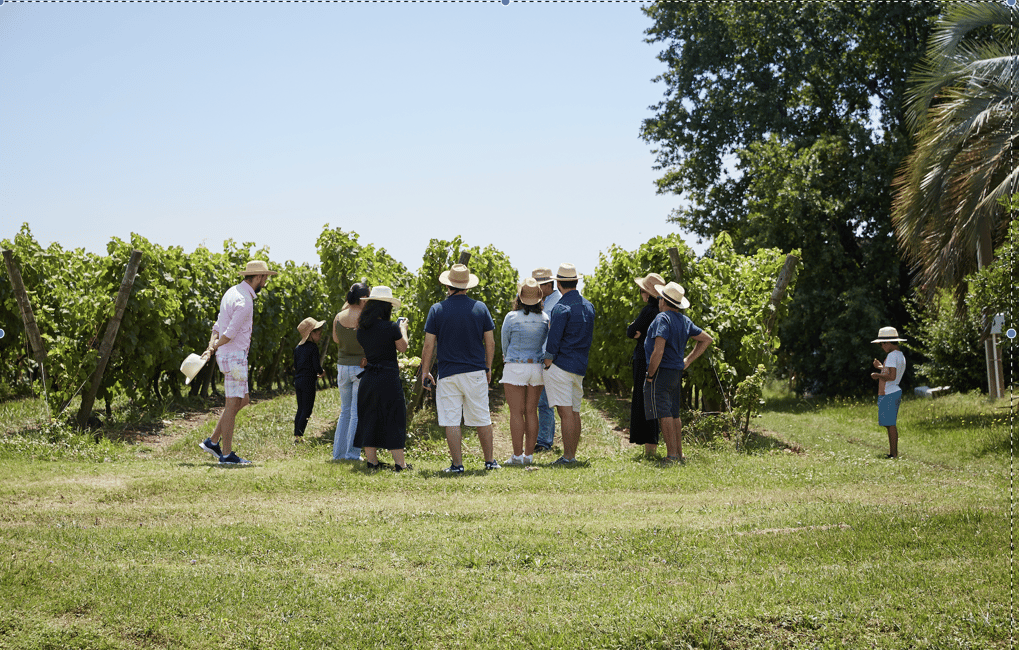 image n.3 of Pizzorno: Tasting + Lunch activity in Canelones, uploaded by supplier