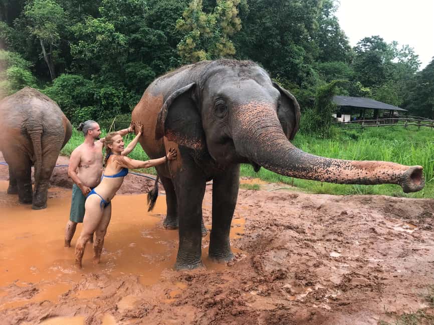 image n.9 of Chiang Mai: Elephant Sanctuary & Waterfall Group Tour activity in Chiang Mai, uploaded by supplier