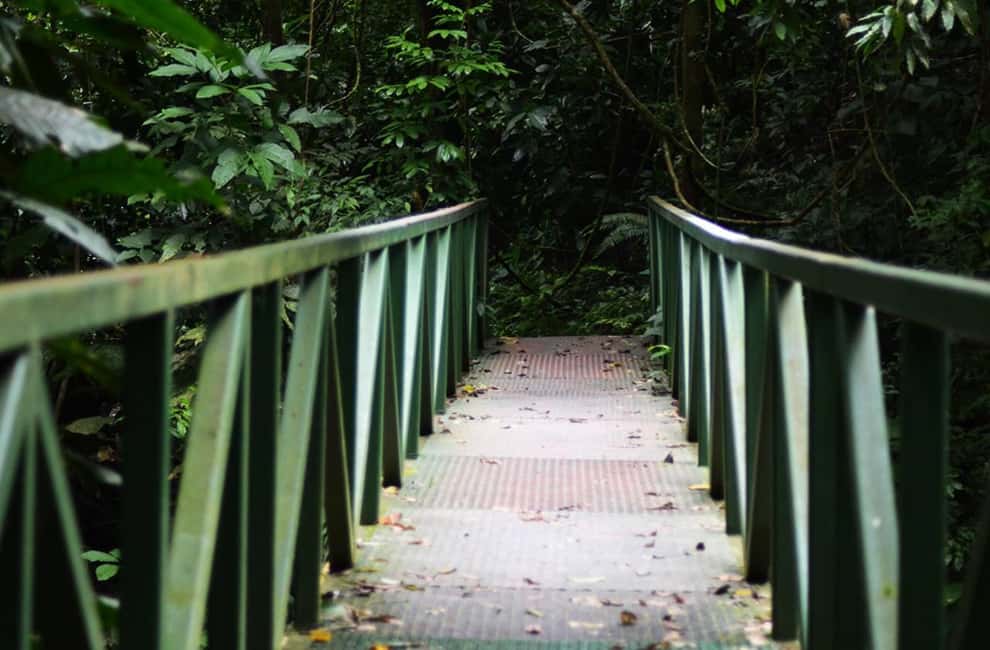 image n.6 of Carara National Park: Best Tour Carara National Park-One Day activity in Puntarenas Province, uploaded by supplier
