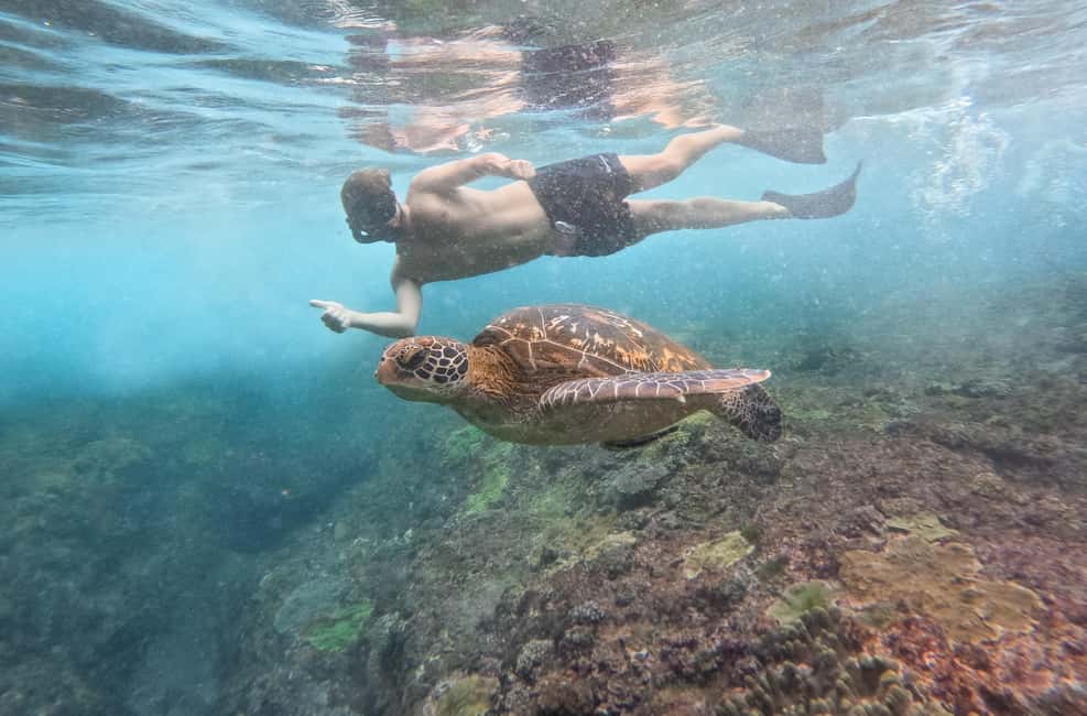 image n.21 of Nusa Penida Island: Manta Point Snorkeling & West Coast Tour activity in Batoemadeg, uploaded by supplier