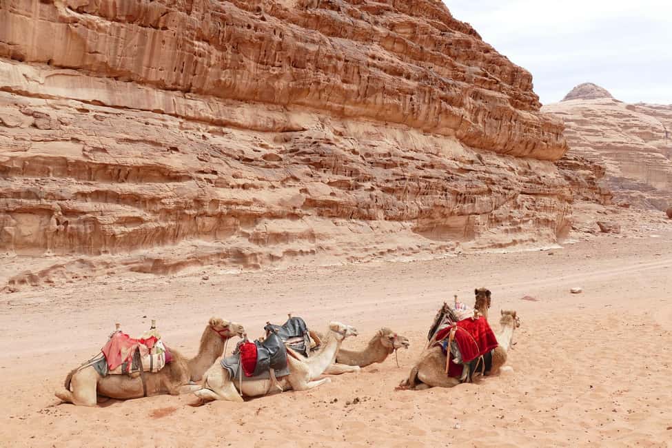 image n.43 of From Amman:Petra, Wadi Rum, and Dead Sea Private 2-Days Trip activity in Capital Governorate Amman, uploaded by supplier