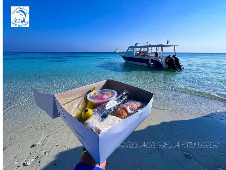 Immagine nº 8 di Muscat: tour di snorkeling con le tartarughe alle isole Daymaniyat attività a Mascate, caricata dal fornitore