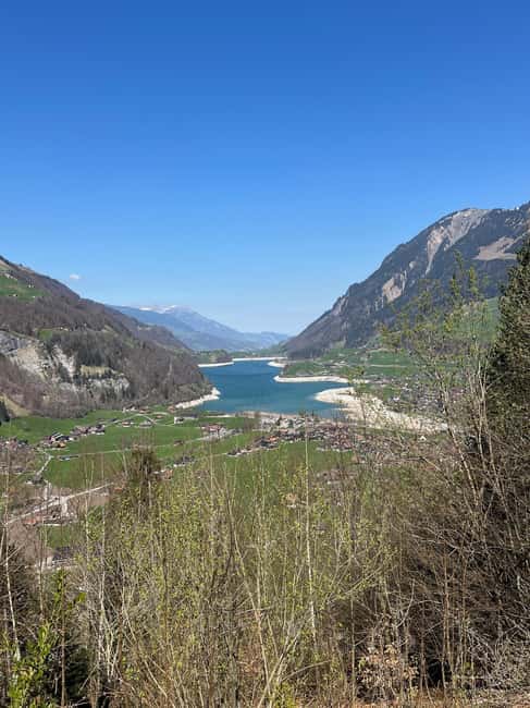 image n.6 of From Basel: Alps, Waterfalls and Lakes Private Tour activity in Lauterbrunnen, uploaded by supplier