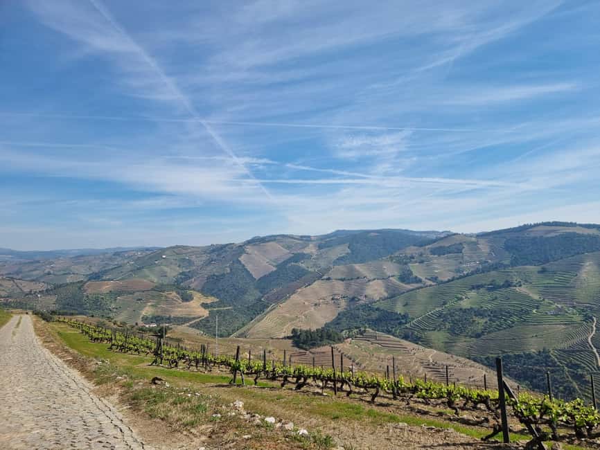 image n.32 of Porto: Premium Douro Valley Small-Group Tour, Cruise & Lunch activity in Norte Region, uploaded by supplier