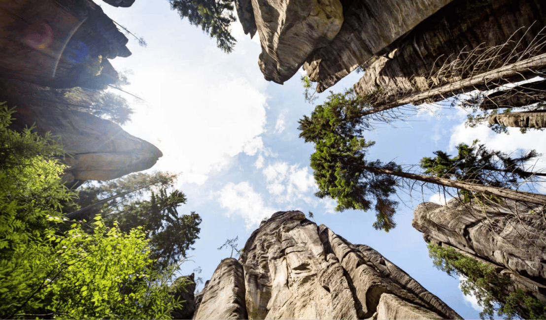 image n.8 of From Wroclaw: Adršpach Rock City Trip with Private Driver activity in Adršpach, uploaded by supplier