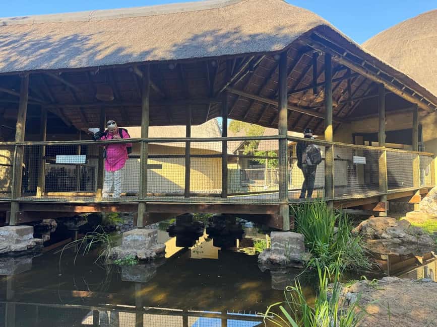 image n.4 of Johannesburg Lion Park and Lesedi Cultural Village activity in Hartbeespoort, uploaded by supplier