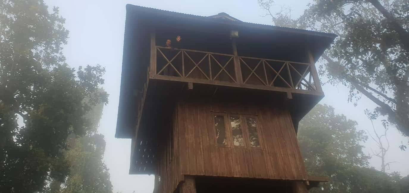 Immagine nº 8 di 3 notti 4 giorni Parco nazionale di Chitwan con pernottamento nella torre attività a Regione di Sviluppo Occidentale, caricata dal fornitore