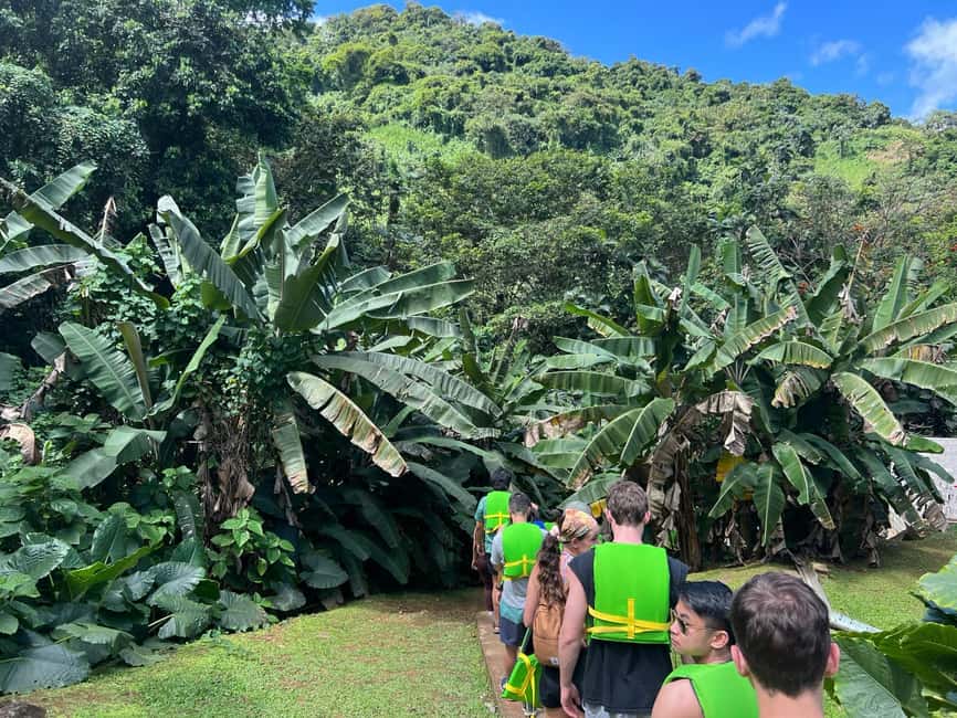 Obraz nr 16 z atrakcji Las deszczowy El Yunque; zjeżdżalnie wodne, plaża, posiłek i wycieczka po sklepach w Río Grande, Portoryko, przesłany przez organizatora