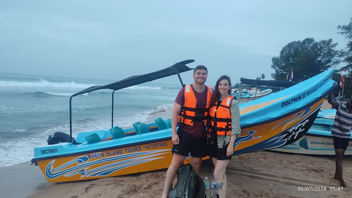 image n.10 of Trincomalee: Dolphin & Whale Watching Boat Tour activity in Nilaveli, uploaded by supplier