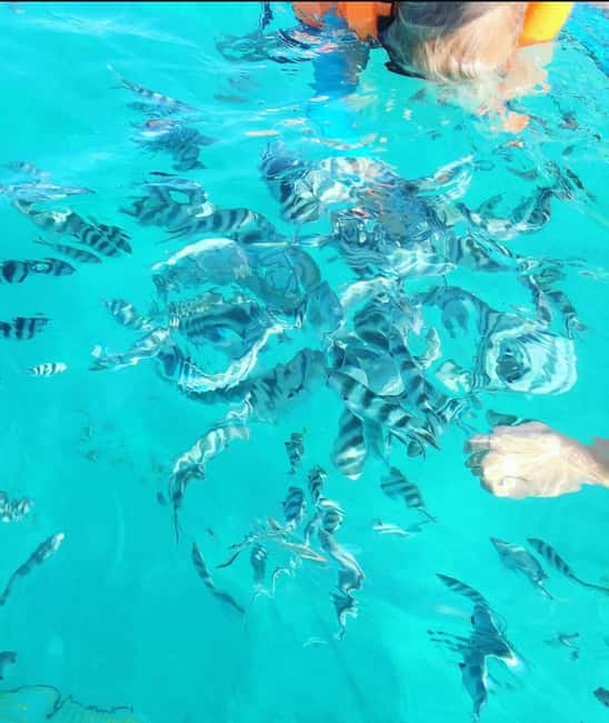 image n.17 of Zanzibar: Blue lagoon, Starfish, Paje Beach and Maalum Cave activity in Pingwe, uploaded by supplier