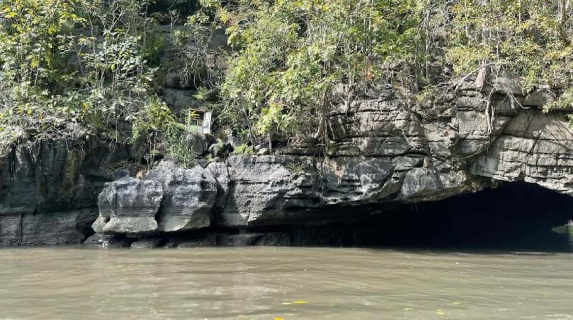 image n.6 of Langkawi: Half-Day Private Kilim River Mangrove Boat Tour activity in Kuah, uploaded by supplier