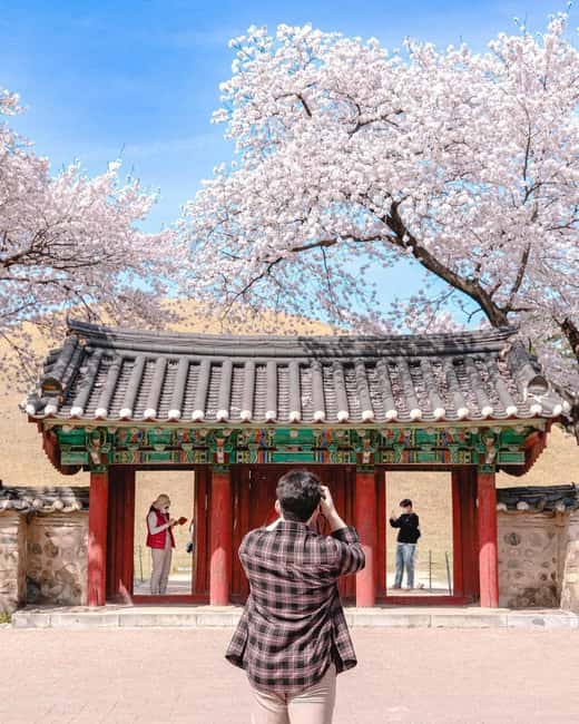 image n.24 of Busan: Gyeongju Guided Day Trip to Three Kingdoms Capital activity in Gyeongju, uploaded by supplier