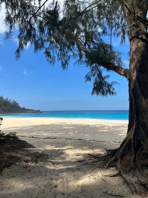 image n.10 of Full day Mahe Tour activity in Mahé, uploaded by supplier