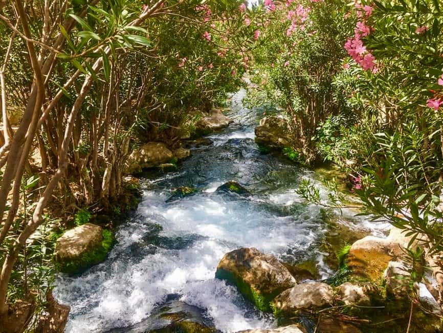 imagen n.º 6 de Desde Albir o Benidorm: Excursión de un día a las Cascadas del Algar actividad en Benidorm, subida por el proveedor