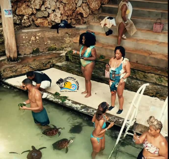 image n.29 of Nungwi: Swimming with Turtles at The Lagoons Zanzibar activity in Zanzibar City, uploaded by supplier