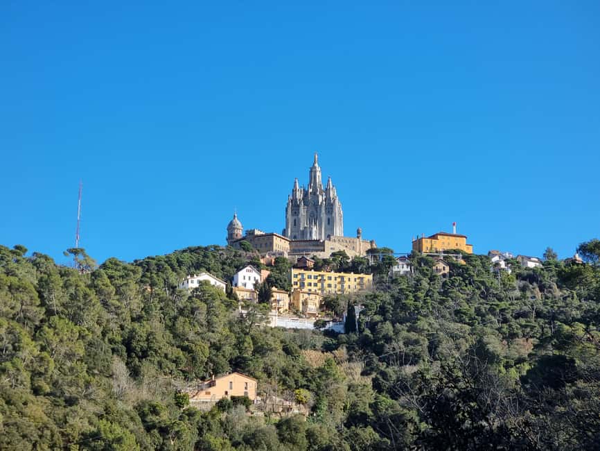 afbeelding n.1 van Het geheime bos van Barcelona: Natuurwandeling & mooiste uitzichten activiteit in Barcelona, geüpload door aanbieder