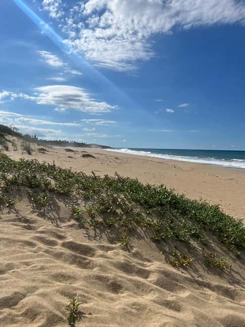 image n.8 of San Juan:Beach hopping Los Tubos, Hacienda Esperanza & more activity in Manatí, uploaded by supplier