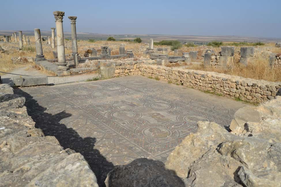 billede nr.61 af aktiviteten Dagstur fra Fes til Volubilis via Meknes og Moulay Idriss i Meknès, uploadet af udbyder