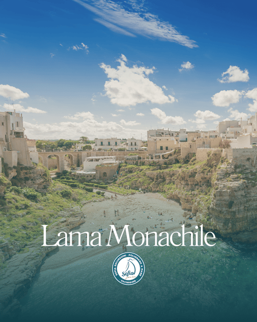 image n.10 of Polignano a Mare: Speedboat Cruise to Caves with Aperitif activity in Polignano a Mare, uploaded by supplier