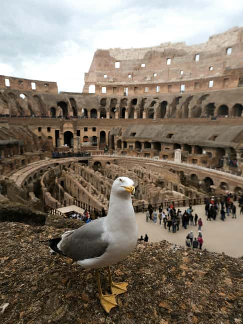 image n.11 of Rome: Guided Colosseum Underground Tour activity in Rome, uploaded by supplier