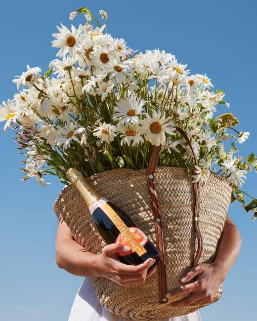 image n.7 of Wine Icons: Meet the sparkling world of Chandon activity in Mendoza Province, uploaded by supplier