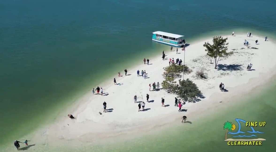 bild nr.1 av Clearwater Beach: Kryssning med delfiner och sandbankar på öar aktivitet i Clearwater, uppladdad av arrangören