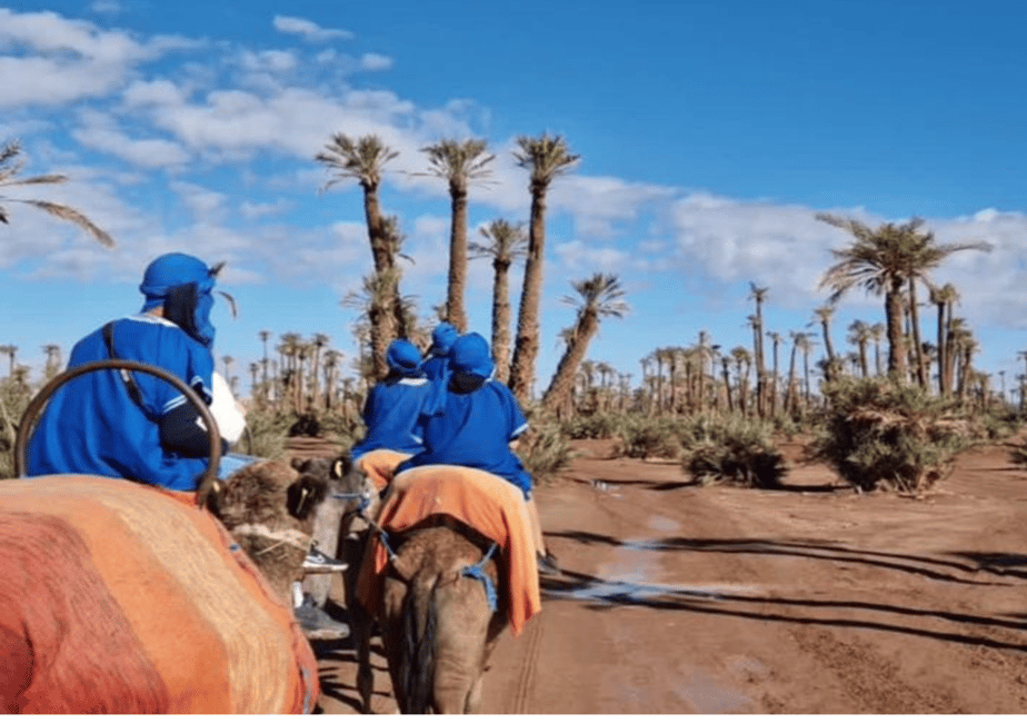 Bild Nr. 8 von Marrakech: Kamelritt in der Palmeraie und traditionelles marokkanisches Spa Aktivität in Marrakesch, hochgeladen vom Anbieter
