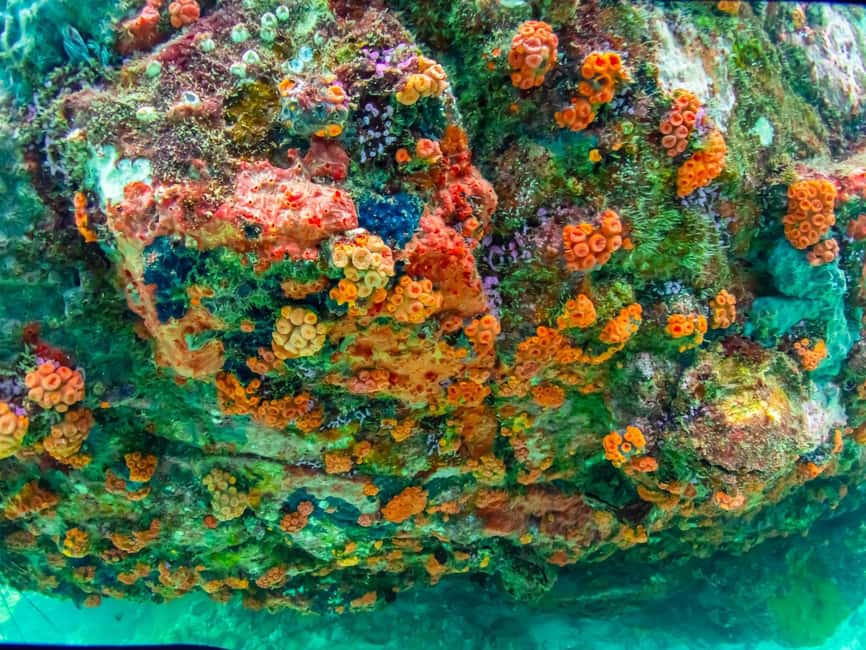 imagen n.º 2 de Bangkok: Excursión de un día a la Isla de Nemo con fotos de drones y almuerzo actividad en Pattaya, subida por el proveedor