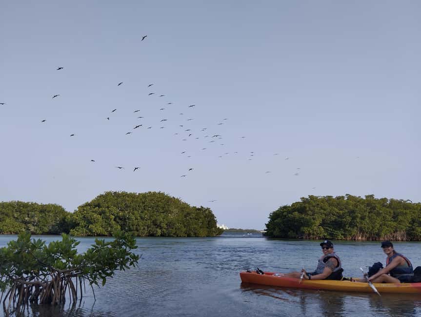 imagen n.º 8 de Cancún: Excursión en Kayak por la Laguna Nichupté actividad en Cancún, subida por el proveedor