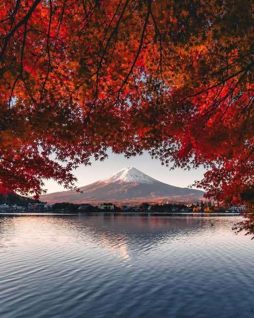 image n.15 of Mt.Fuji Private tour from Tokyo/Yokoham (Customizable) activity in Hakone, uploaded by supplier