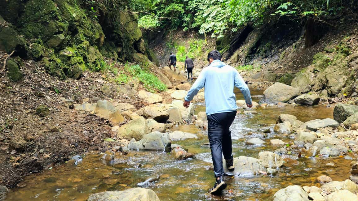 image n.8 of Panama: The Full Rainforest Experience activity in Colón Province, uploaded by supplier