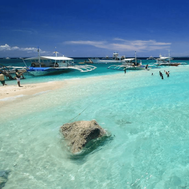 imagem n.9 de Cebu: Excursão aos tubarões-baleia, ao banco de areia de Sumilon e às cataratas de Tumalog atividade em Oslob, carregada pelo fornecedor
