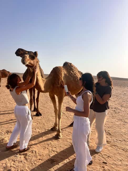 image n.2 of Salalah: Bedouin Tent Night Stay in Desert + Sunset Safari activity in Dhofar, uploaded by supplier