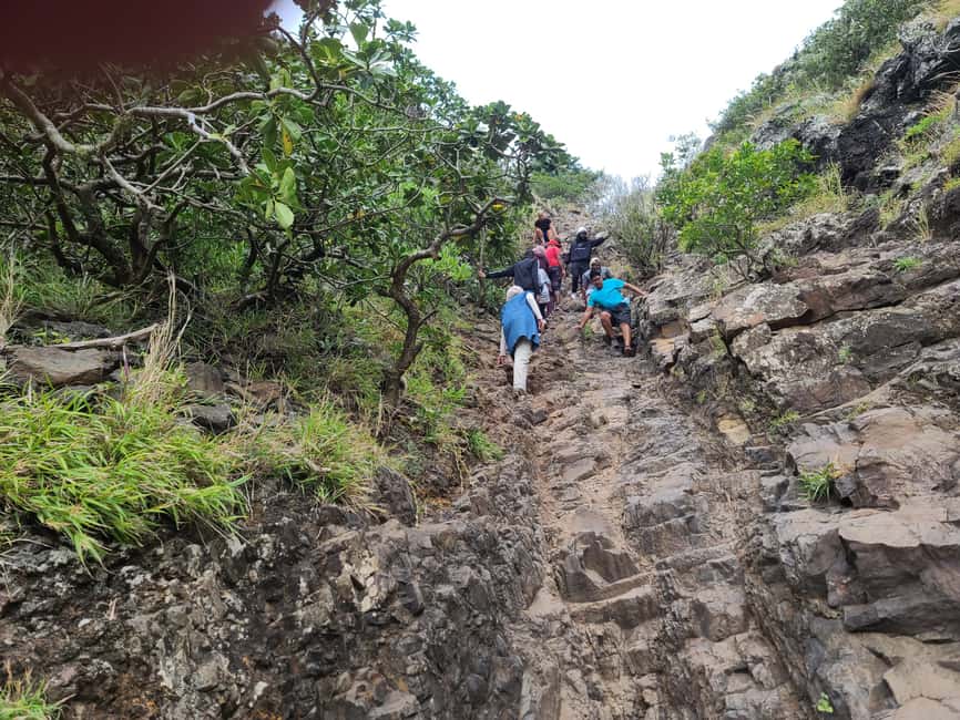 image n.8 of LeMorne Historic Mountain Picturesque Hike-UNESCO Recognised activity in Le Morne, uploaded by supplier