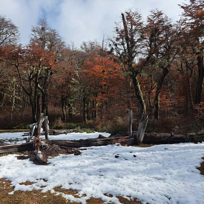 image n.9 of Lago Puelo: Andinean Day Hike activity in Chubut Province, uploaded by supplier