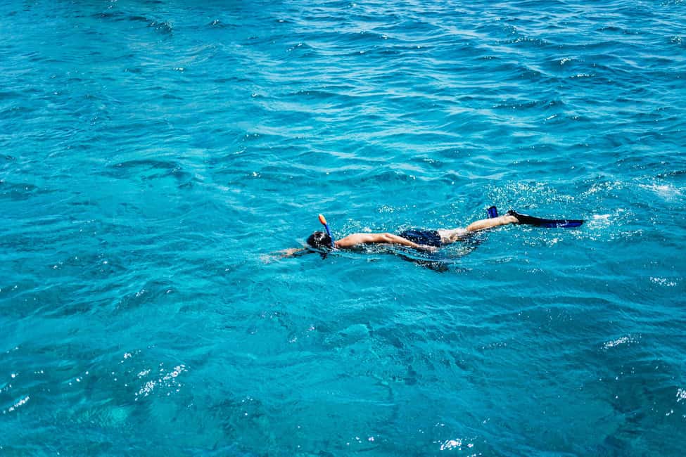 image n.13 of Mykonos: Yacht Cruise to Rhenia and Guided Tour of Delos activity in Cyclades, uploaded by supplier