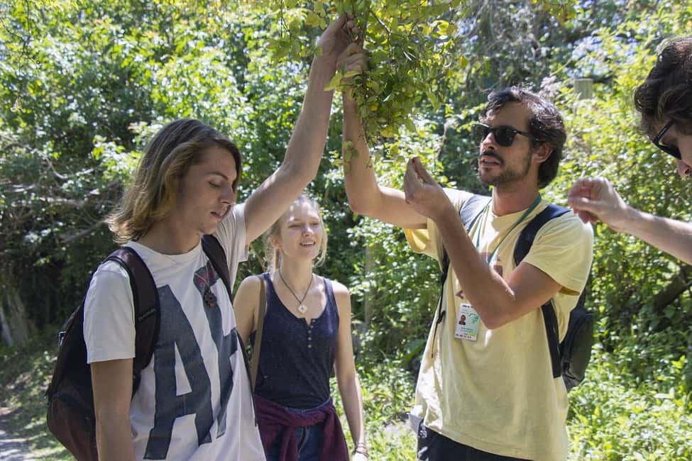 image n.15 of Florianopolis: Lagoinha do Leste Natural Park Hike activity in South Region, Brazil, uploaded by supplier