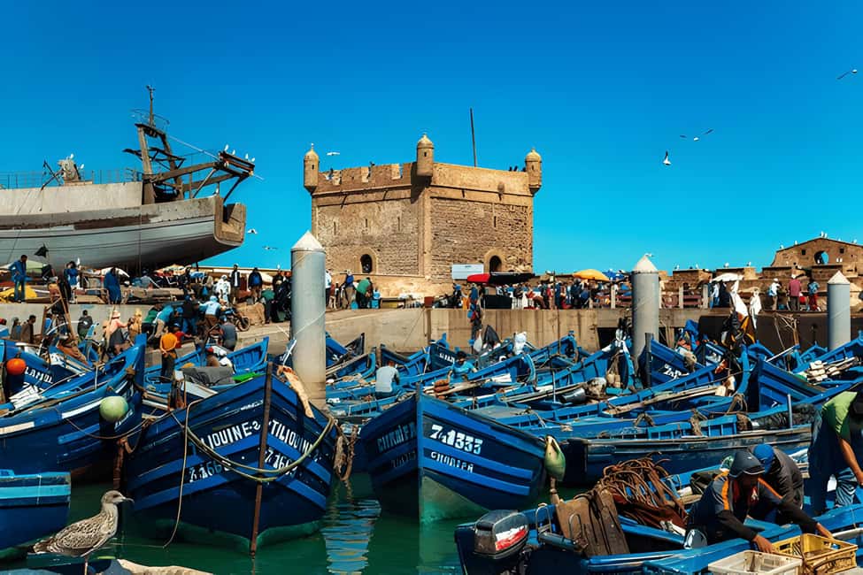 image n.45 of From Marrakech: Essaouira day Trip with camel, horse & quad activity in Essaouira, uploaded by supplier