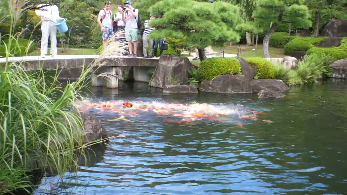 afbeelding n.17 van Halve dag Himeji kasteel stad fietstour met lunch activiteit in Himeji, geüpload door aanbieder