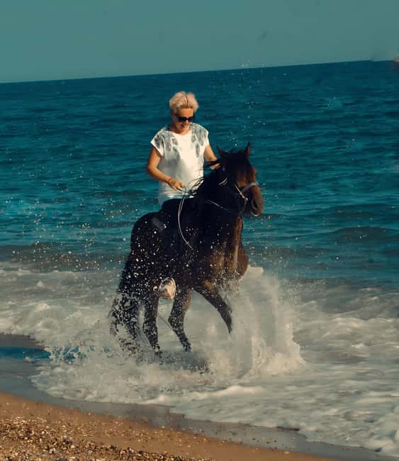 Side içindeki Manavgat Side: Sahilde ve Ormanda At Binme etkinliğinin tedarikçi tarafından yüklenen 11 no'lu görseli