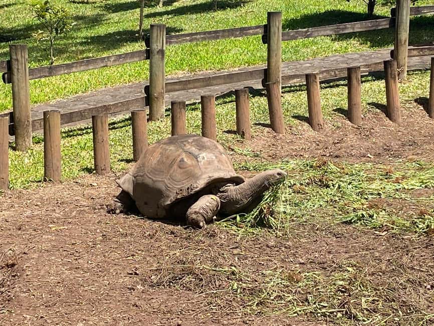Immagine nº 9 di Mauritius: Tour privato del sud-ovest con pranzo attività a Chamarel, caricata dal fornitore