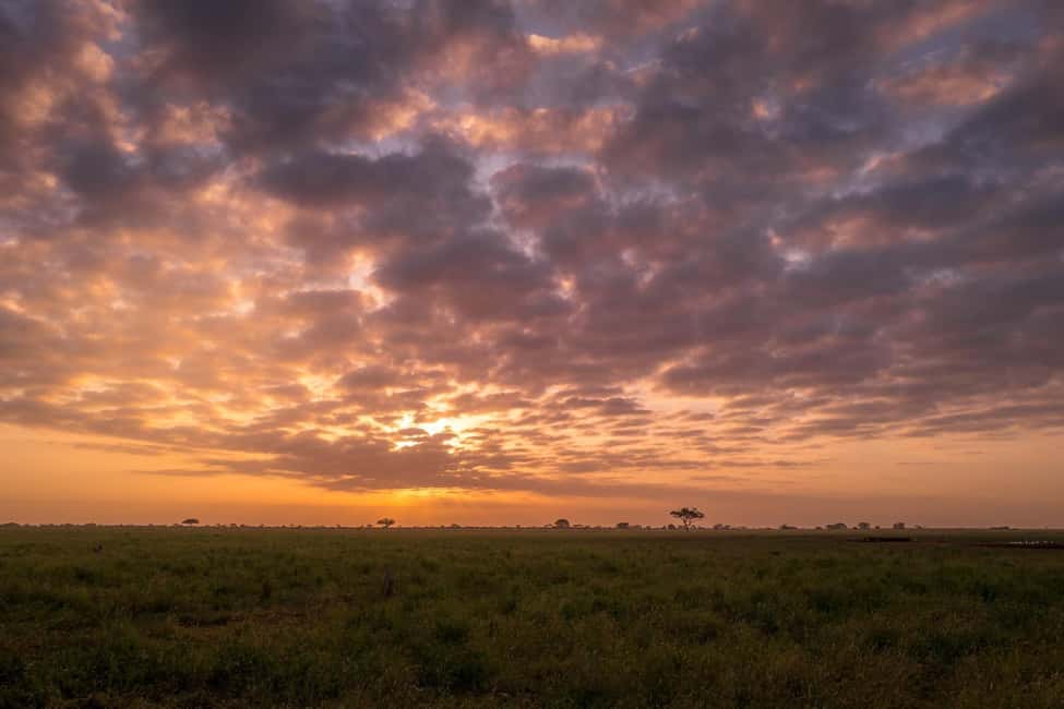 image n.15 of Tsavo East and Tsavo West Sanctuary Safari activity in Coast Province, uploaded by supplier