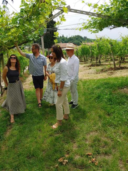 Immagine nº 26 di Il tour completo dell'Amarone: 2 cantine, pranzo e approfondimento sull'Amarone attività a Verona, caricata dal fornitore