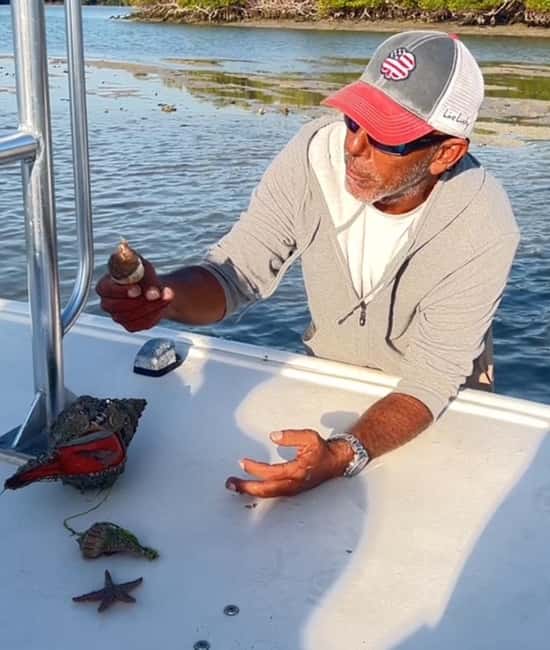 image n.8 of Marco Island: 2-Hour Dolphin, Birding, and Shelling Tour activity in Fort Myers, uploaded by supplier