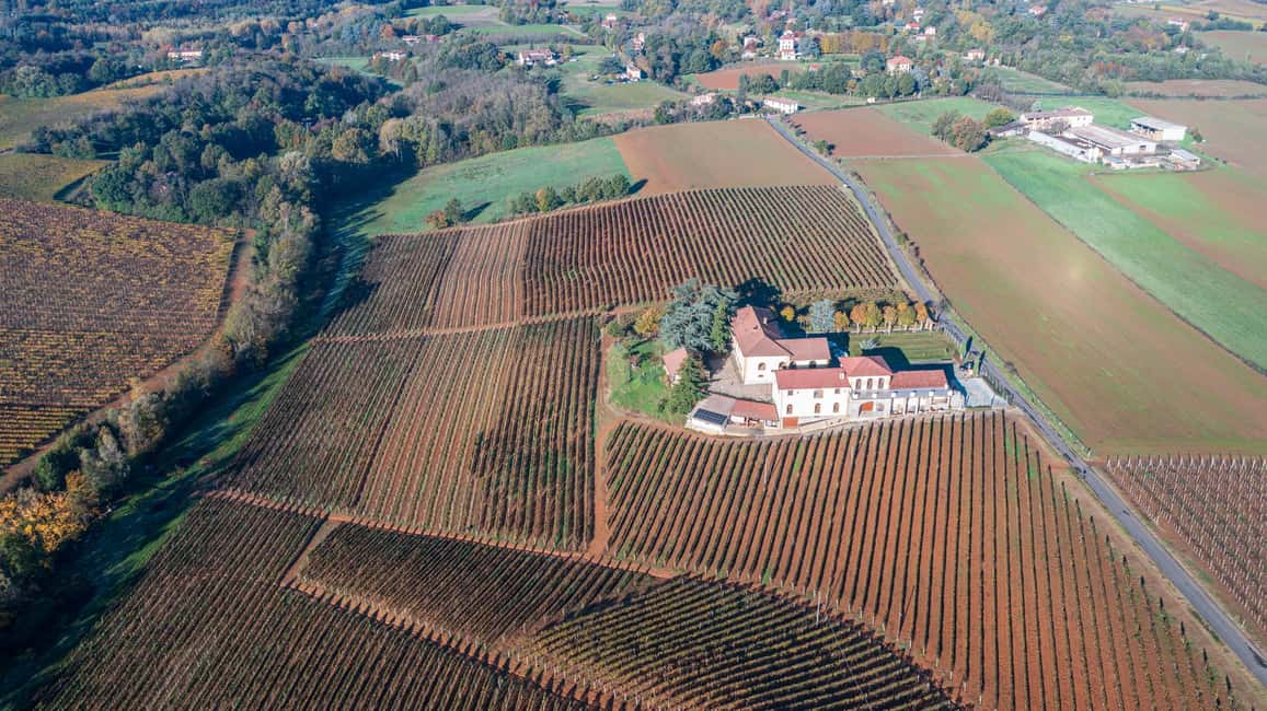 billede nr.7 af aktiviteten Tenuta San Lorenzo: vinprovning og rundvisning på vingården i Novi Ligure, uploadet af udbyder