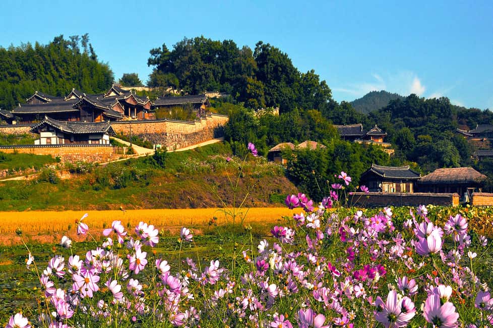 Image N°10 de Au départ de Busan : visite guidée d'une journée à Gyeongju, patrimoine mondial de l'UNESCO activité à Gyeongju, publiée par le prestataire