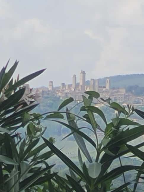 Bild Nr. 9 von Bio-Wein- und Lebensmittelverkostung in der historischen Fattoria Majnoni Aktivität in San Gimignano, hochgeladen vom Anbieter